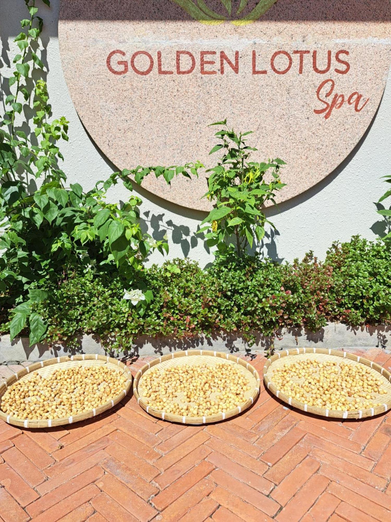 Golden Lotus Spa & Homestay Ap Thien Phuoc Bagian luar foto